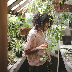 Meet your Posher, Sierra